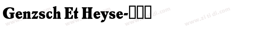 Genzsch Et Heyse字体转换 Genzsch Et Heyse字体转换